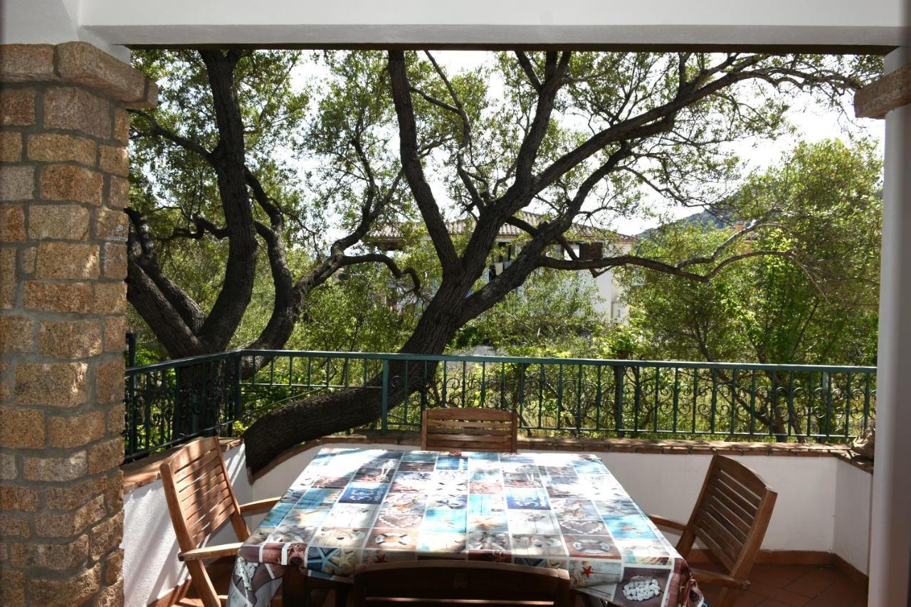 סנטה מריה נברזה Villa Juniper מראה חיצוני תמונה