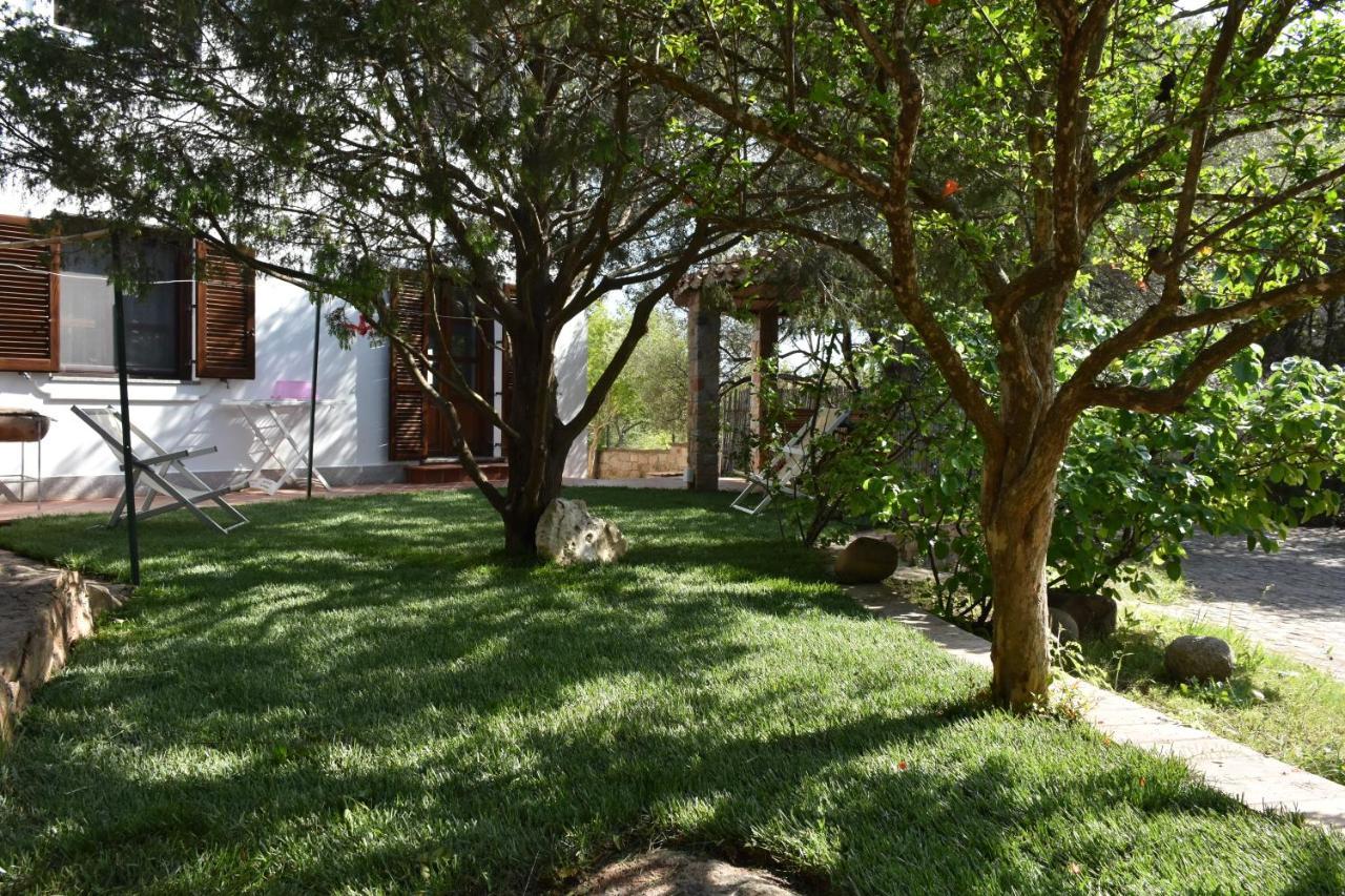 סנטה מריה נברזה Villa Juniper מראה חיצוני תמונה
