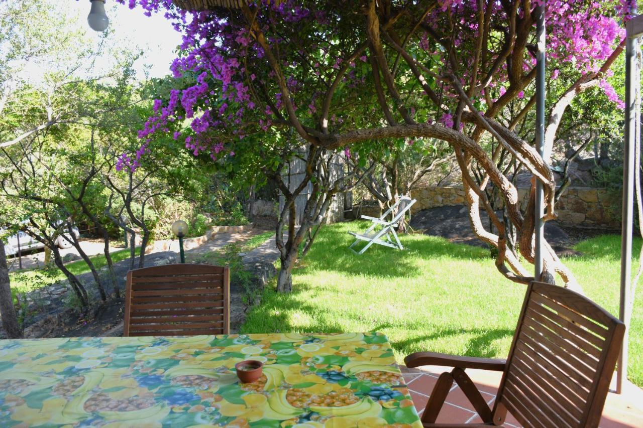 סנטה מריה נברזה Villa Juniper מראה חיצוני תמונה